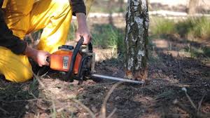 Best Lawn Irrigation Installation and Maintenance  in Farmland, IN